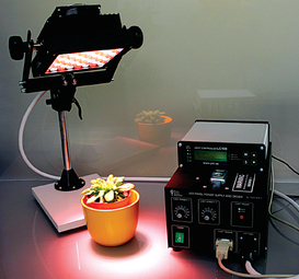 Fontes de luz LED, diversas configurações/cores, para câmaras de crescimento de plantas/algas, casas de vegetação, etc Fontes de luz LED, diversas configurações/cores, para câmaras de crescimento de plantas/algas, casas de vegetação, etc